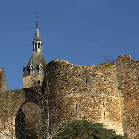 Gite "La Mesangerie" Villa Château-Renard Eksteriør billede