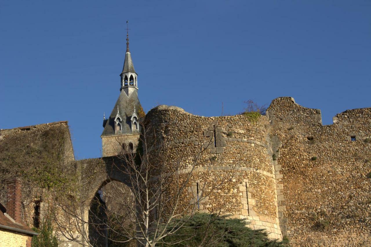 Gite "La Mesangerie" Villa Château-Renard Eksteriør billede